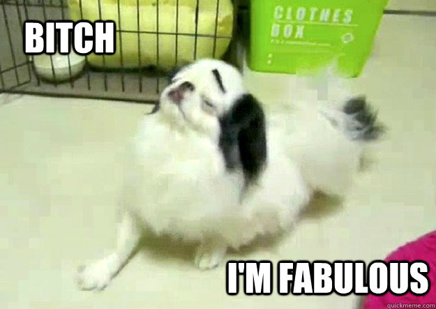 Bitch I'm Fabulous  Sassy Dog