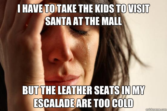 i have to take the kids to visit santa at the mall but the leather seats in my escalade are too cold  First World Problems