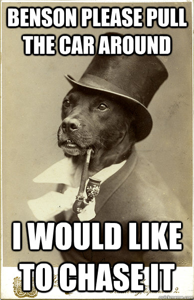 benson please pull the car around i would like to chase it - benson please pull the car around i would like to chase it  Old Money Dog