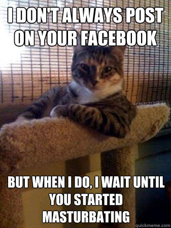 i don't always post on your facebook but when I do, i wait until you started masturbating  The Most Interesting Cat in the World