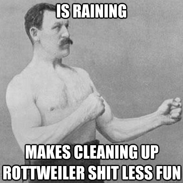 Is raining Makes cleaning up Rottweiler shit less fun  overly manly man