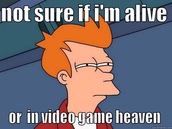 swap meet - NOT SURE IF I'M ALIVE  OR  IN VIDEO GAME HEAVEN Futurama Fry