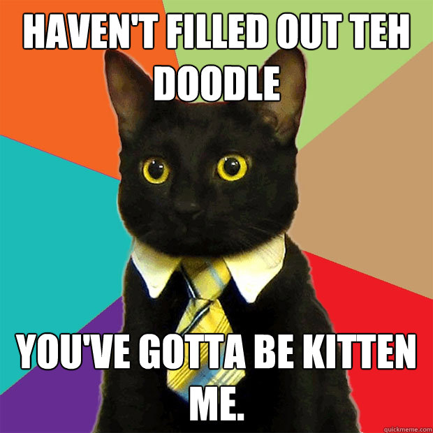 Haven't filled out teh doodle you've gotta be kitten me.  Business Cat