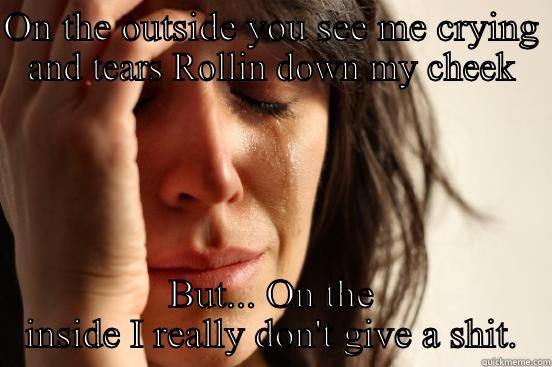 ON THE OUTSIDE YOU SEE ME CRYING AND TEARS ROLLIN DOWN MY CHEEK BUT... ON THE INSIDE I REALLY DON'T GIVE A SHIT. First World Problems