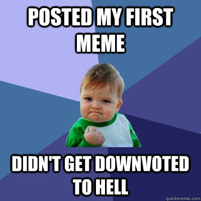 posted my first meme didn't get downvoted to hell  Success Kid