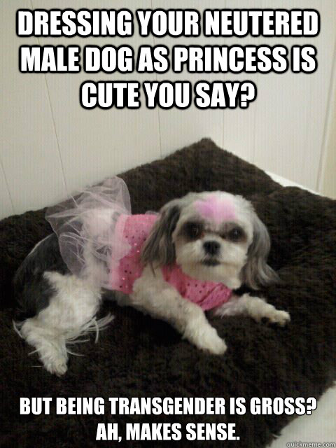 Dressing your neutered male dog as princess is cute you say? but being transgender is gross?  Ah, makes sense. - Dressing your neutered male dog as princess is cute you say? but being transgender is gross?  Ah, makes sense.  Transgender dog
