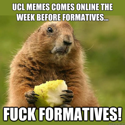 UCL Memes comes online the week before formatives... FUCK FORMATIVES! - UCL Memes comes online the week before formatives... FUCK FORMATIVES!  Medic Marmot
