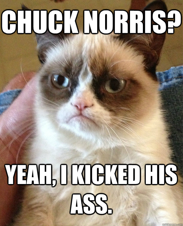 Chuck Norris? Yeah, I kicked his ass.  Grumpy Cat
