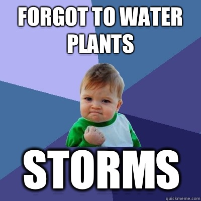 Forgot to water plants Storms  Success Kid