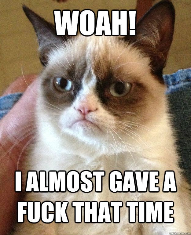 woah! i almost gave a fuck that time - woah! i almost gave a fuck that time  Grumpy Cat