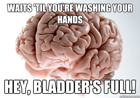 Waits 'til you're washing your hands Hey, bladder's full!  Scumbag Brain