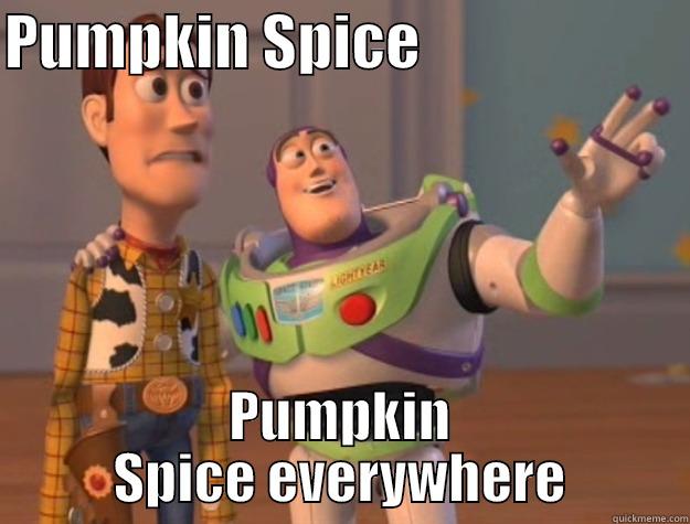 PUMPKIN SPICE                       PUMPKIN SPICE EVERYWHERE Toy Story