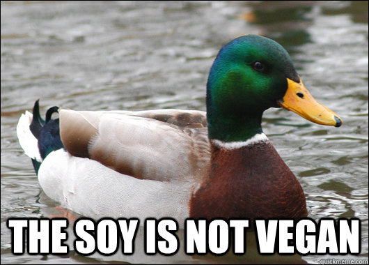  The Soy is not vegan  Actual Advice Mallard