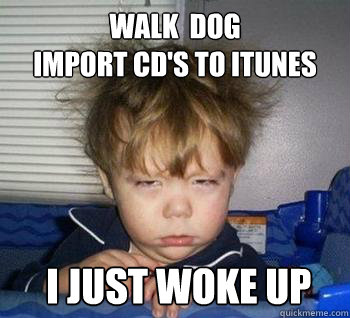 walk  dog
import cd's to itunes  i just woke up
 Caption 3 goes here  Just woke up