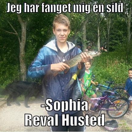 JEG HAR FANGET MIG EN SILD -SOPHIA REVAL HUSTED Misc