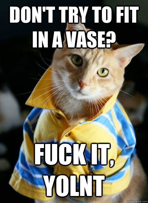 don't try to fit in a vase? fuck it, yolnt  