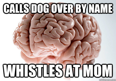 calls dog over by name whistles at mom  Scumbag Brain