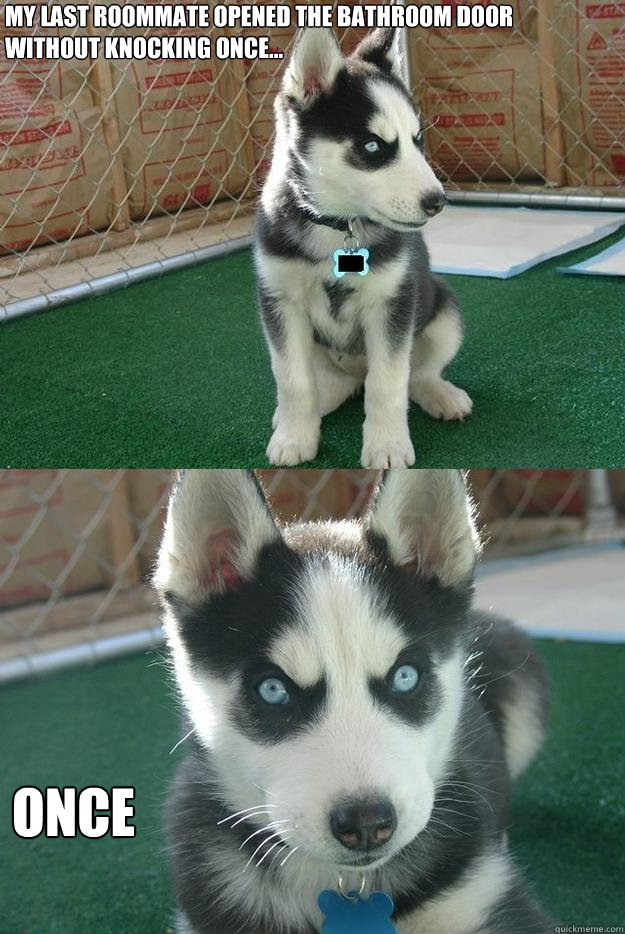 My last roommate opened the bathroom door without knocking once... once  Insanity puppy
