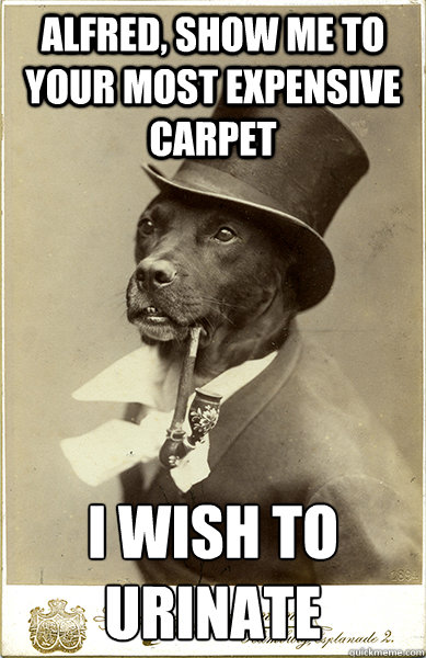 Alfred, show me to your most expensive carpet I wish to urinate  Old Money Dog