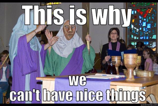 THIS IS WHY WE CAN'T HAVE NICE THINGS Misc