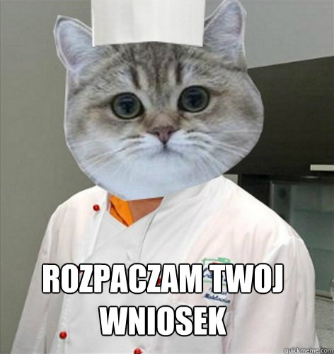Vademecum str. 234 Rozpaczam Twoj wniosek  co ja pacze