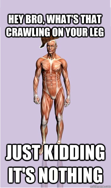 hey bro, what's that crawling on your leg just kidding it's nothing - hey bro, what's that crawling on your leg just kidding it's nothing  Misc