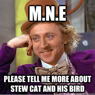 M.n.e please tell me more about stew cat and his bird  Condescending Wonka