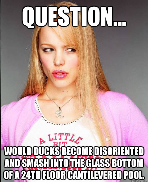 Question... would ducks become disoriented and smash into the glass bottom of a 24th floor cantilevered pool.  