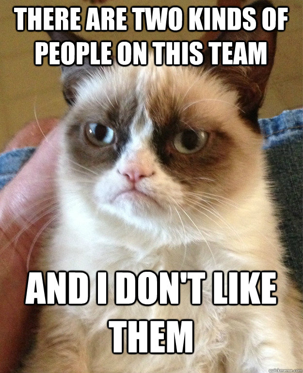 there are two kinds of people on this team and i don't like them  Grumpy Cat