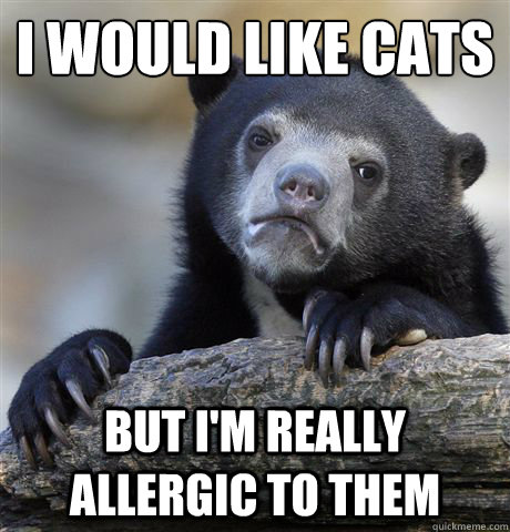I would like cats But I'm really allergic to them  Confession Bear