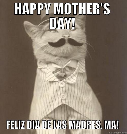 HAPPY MOTHER'S DAY! FELIZ DIA DE LAS MADRES, MA! Original Business Cat