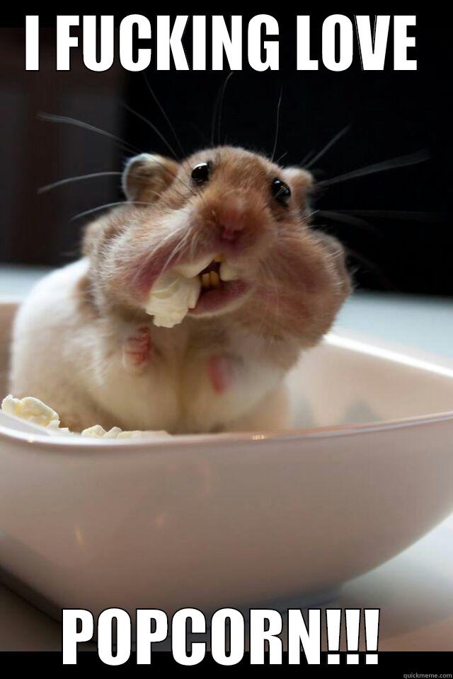 Corny Hamster - I FUCKING LOVE POPCORN!!! Misc