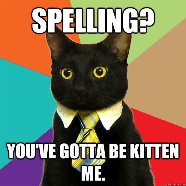 spelling? you've gotta be kitten me. - spelling? you've gotta be kitten me.  Business Cat