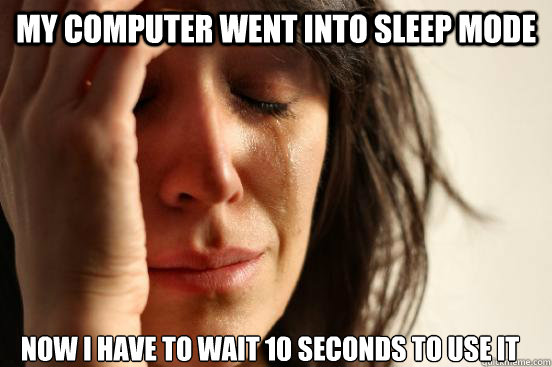 my computer went into sleep mode now I have to wait 10 seconds to use it  First World Problems