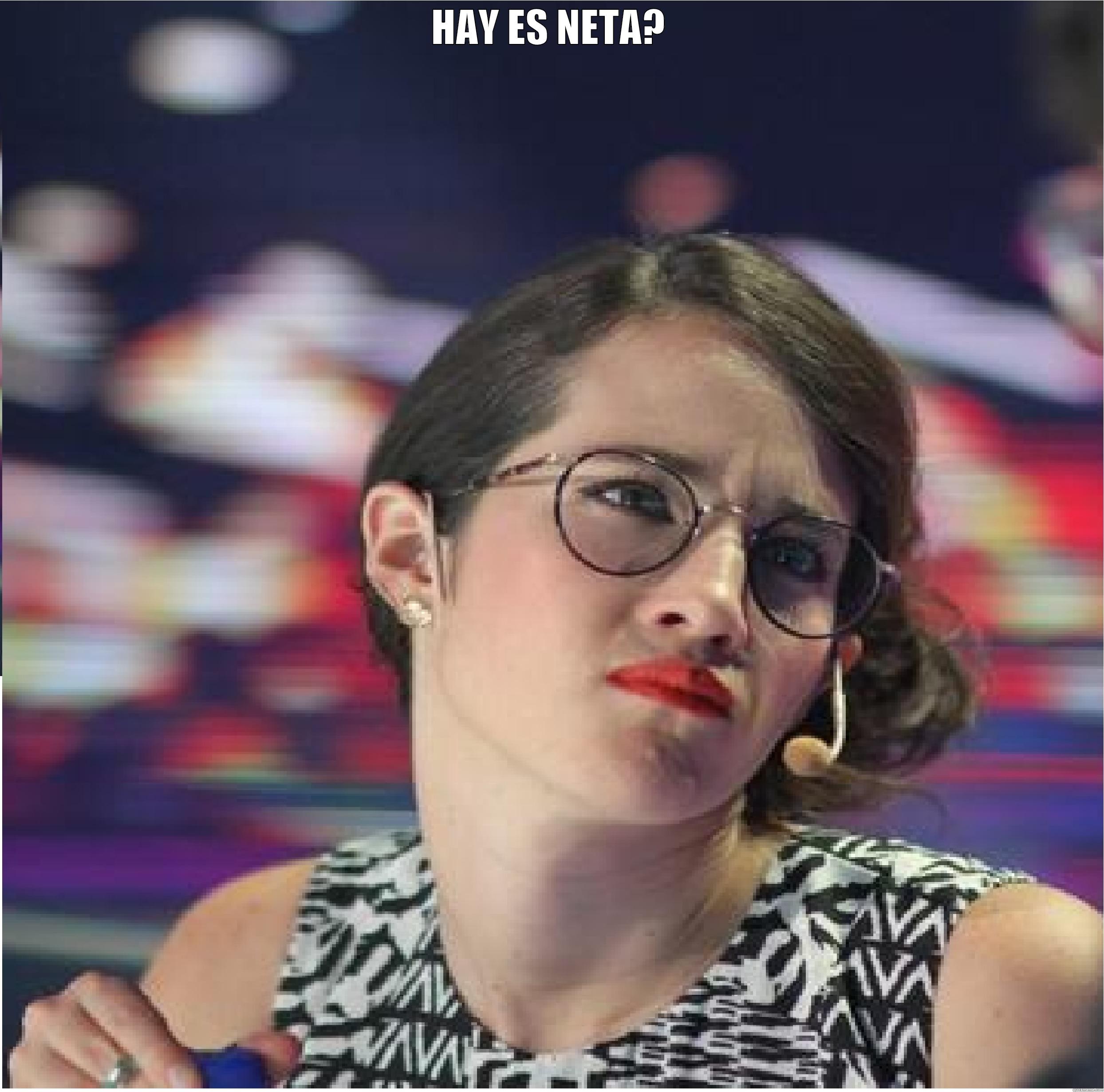 HAY ES NETA?  Misc