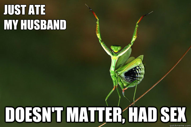 just ate 
my husband Doesn't matter, had sex - just ate 
my husband Doesn't matter, had sex  Misc
