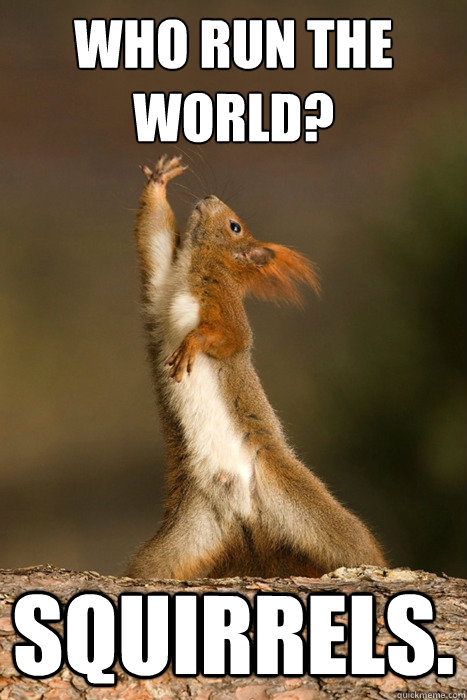 Who Run the World? Squirrels. - Who Run the World? Squirrels.  Who Run The World Squirrels