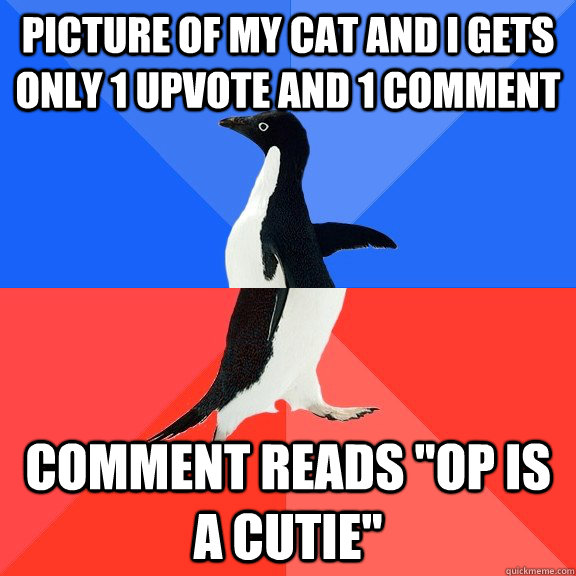 picture of my cat and I gets only 1 upvote and 1 comment comment reads 