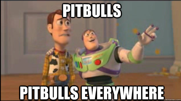 Pitbulls pitbulls everywhere  Buzz and Woody