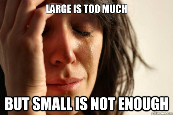 Large is too much but small is not enough  First World Problems