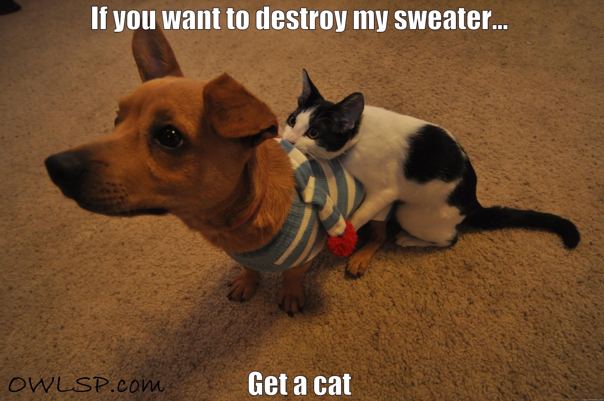 IF YOU WANT TO DESTROY MY SWEATER... GET A CAT Misc