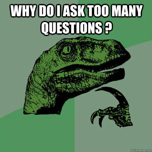 why do i ask too many questions ?   Philosoraptor