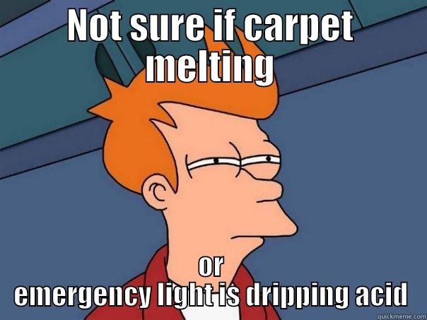 NOT SURE IF CARPET MELTING OR EMERGENCY LIGHT IS DRIPPING ACID Futurama Fry