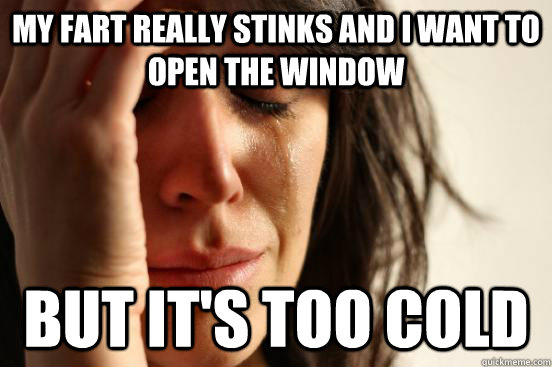 my fart really stinks and i want to open the window but it's too cold  First World Problems