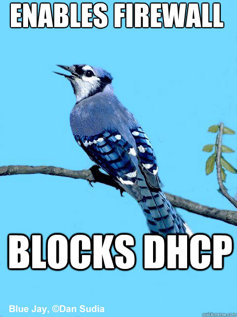Enables Firewall Blocks DHCP - Enables Firewall Blocks DHCP  Blue Team Bird