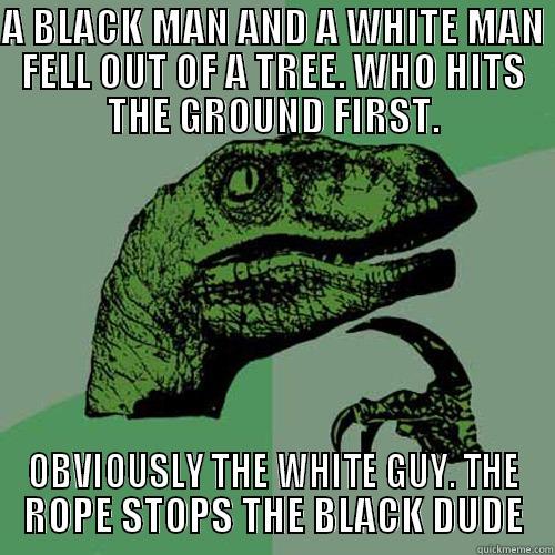 A BLACK MAN AND A WHITE MAN FELL OUT OF A TREE. WHO HITS THE GROUND FIRST. OBVIOUSLY THE WHITE GUY. THE ROPE STOPS THE BLACK DUDE Philosoraptor
