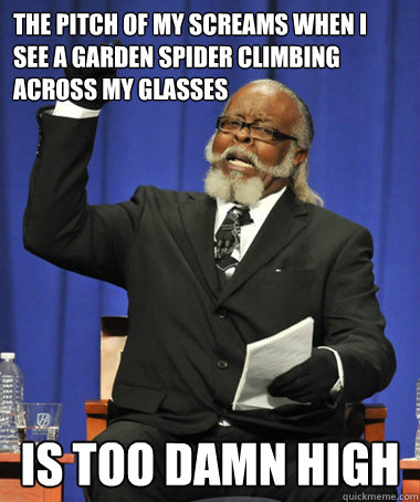 The pitch of my screams when i see a garden spider climbing across my glasses is too damn high  The Rent Is Too Damn High