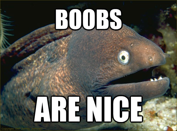 BOOBS  ARE NICE  Bad Joke Eel