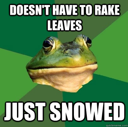 Doesn't have to rake leaves Just snowed  Foul Bachelor Frog