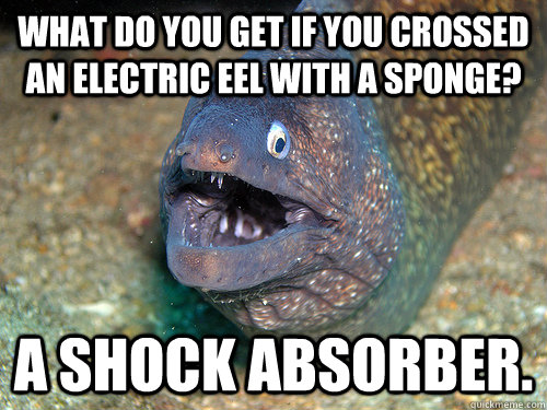 What do you get if you crossed an electric eel with a sponge? A shock absorber. - What do you get if you crossed an electric eel with a sponge? A shock absorber.  ernie the eel